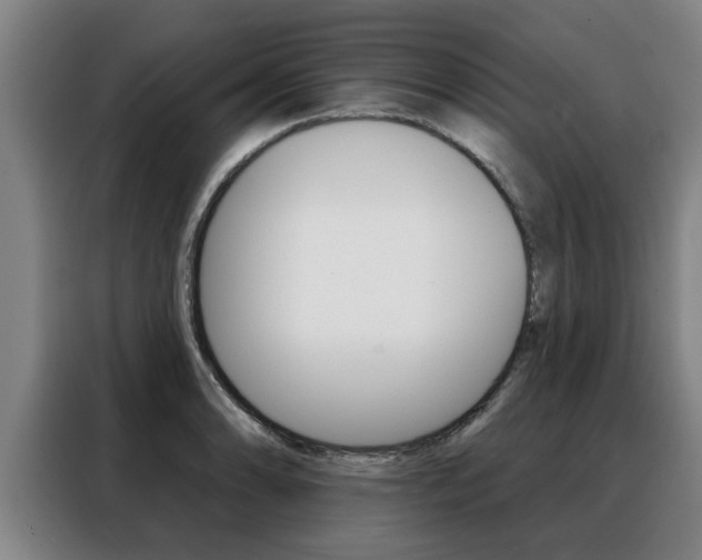 X0000088391086200705220756