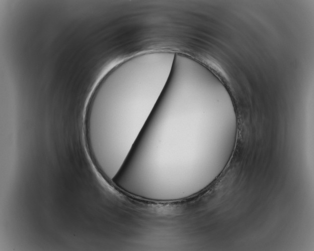 X0000088391087200705220756