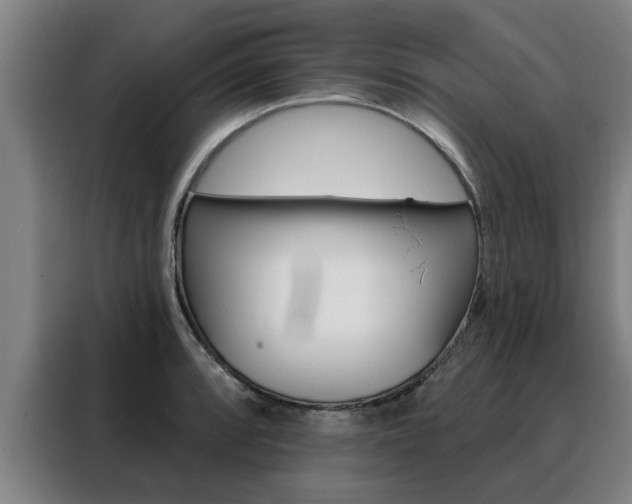 X0000088391088200705220756