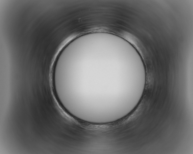 X0000088391090200705220756