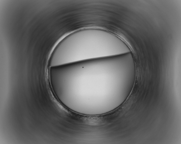 X0000088391092200705220756