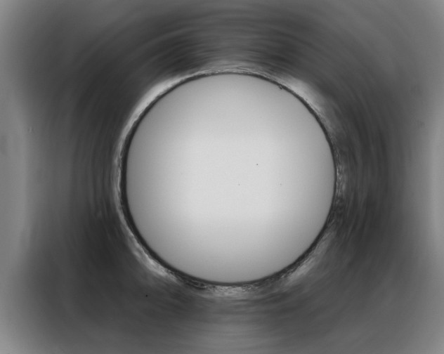 X0000088391094200705220756