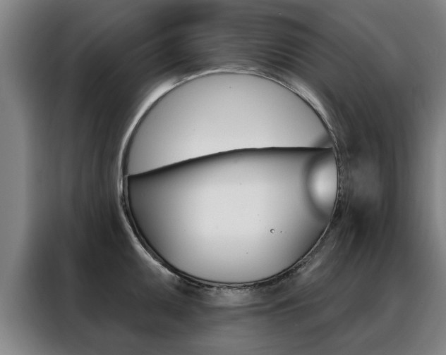 X0000088391095200705220756