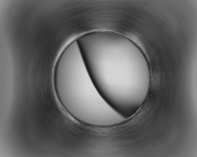 X0000088391096200705220756