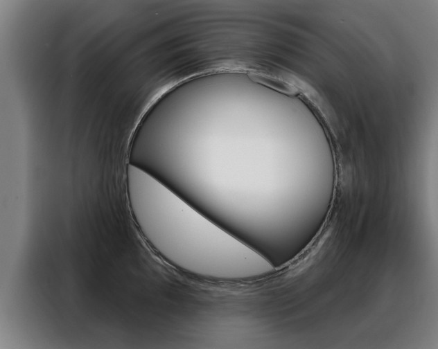 X0000088391097200705220756