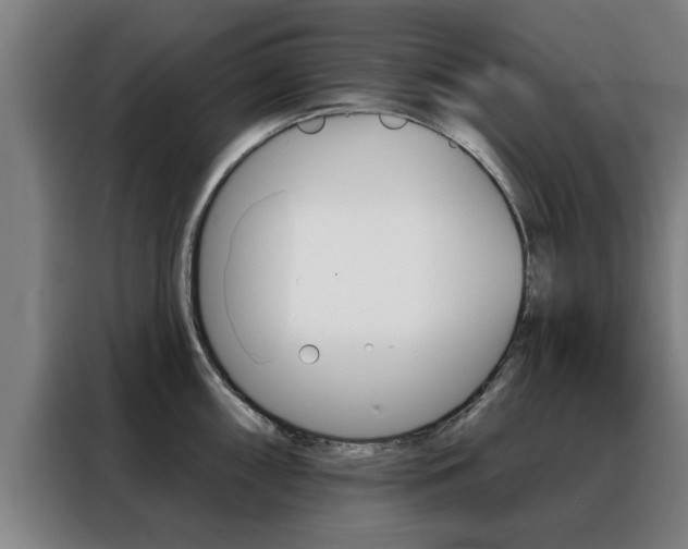X0000088391098200705220756