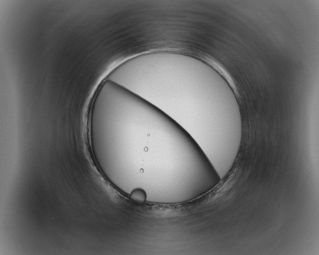 X0000088391099200705220756