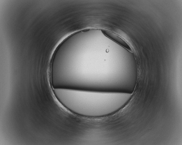 X0000088391100200705220756