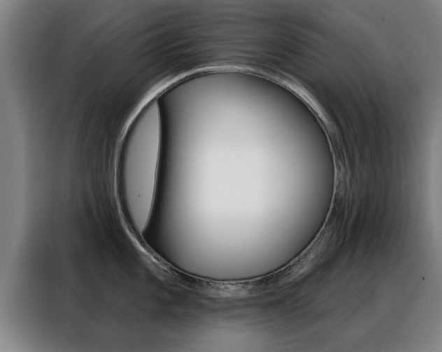 X0000088391101200705220756