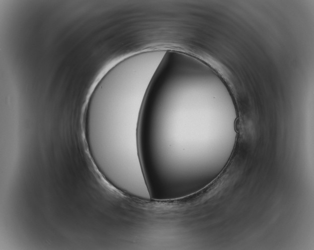 X0000088391102200705220756