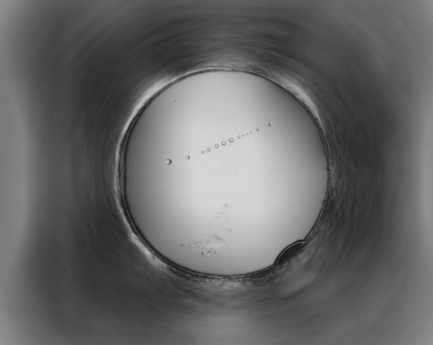 X0000088391103200705220756
