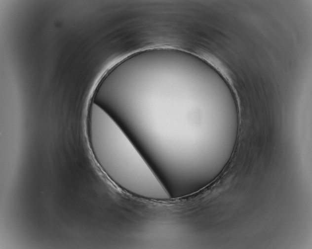 X0000088391104200705220756