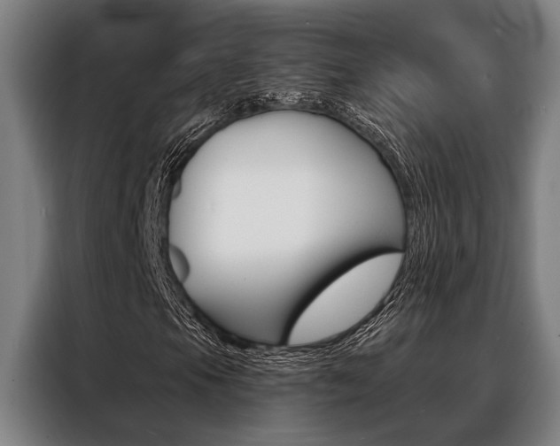 X0000088391105200705220755