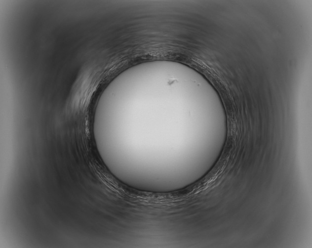 X0000088391106200705220755