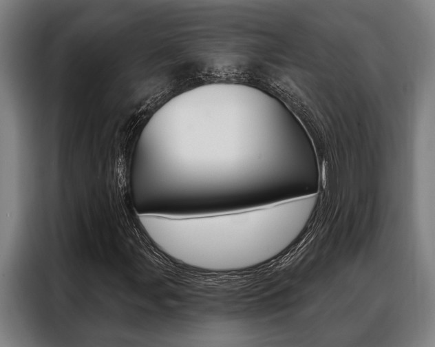 X0000088391107200705220755