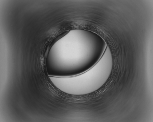 X0000088391108200705220755
