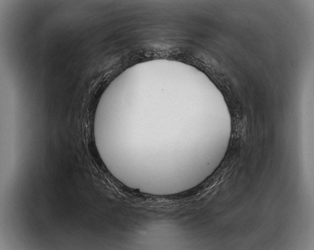X0000088391109200705220755