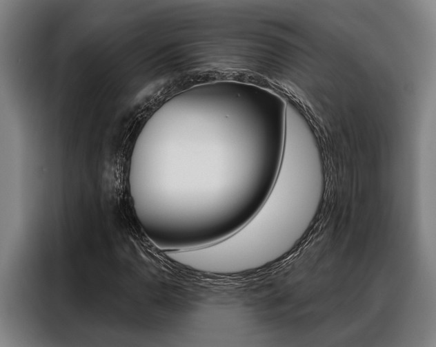 X0000088391110200705220755