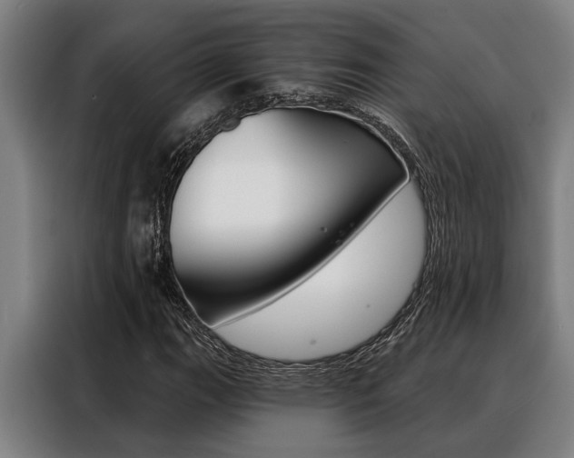X0000088391111200705220755