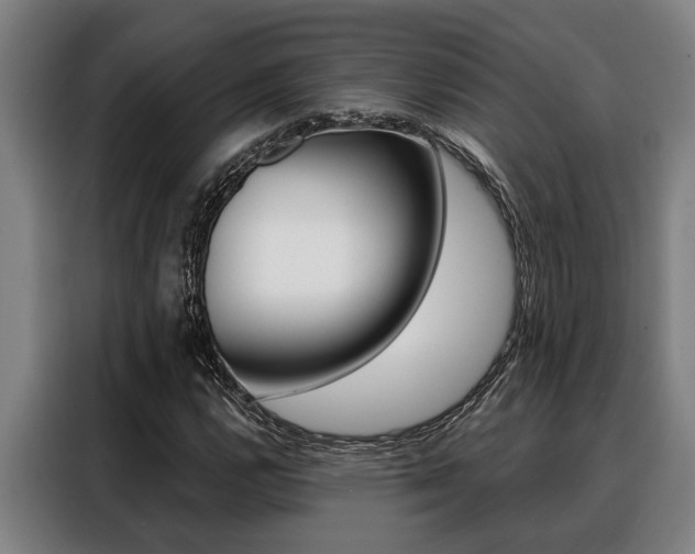 X0000088391112200705220755
