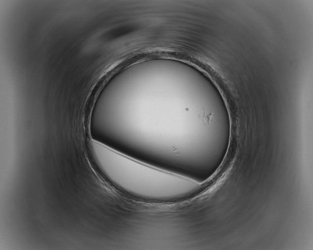 X0000088391113200705220755