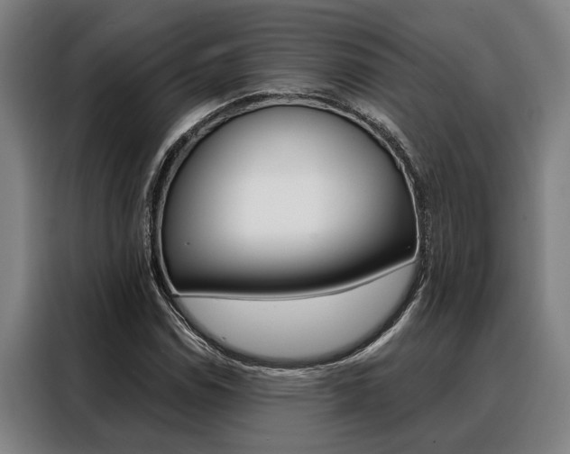 X0000088391114200705220755