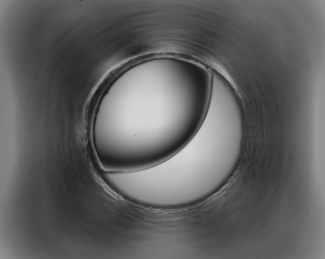 X0000088391116200705220755