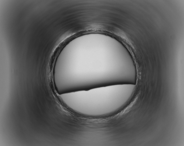X0000088391117200705220755