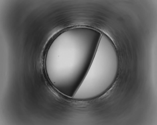 X0000088391119200705220755