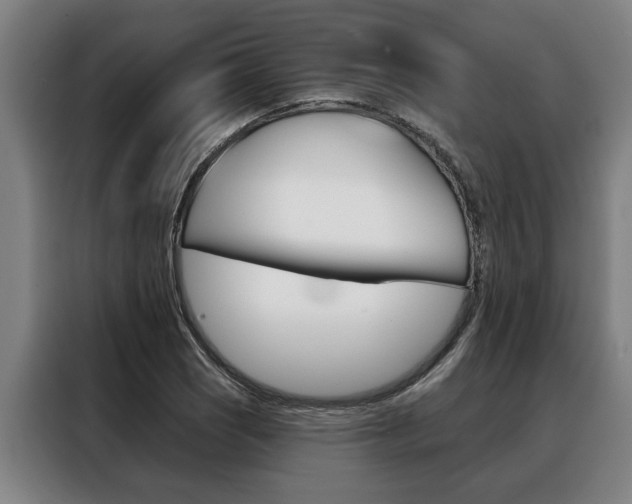 X0000088391121200705220755