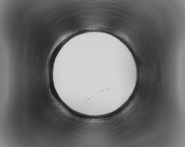 X0000088391122200705220755