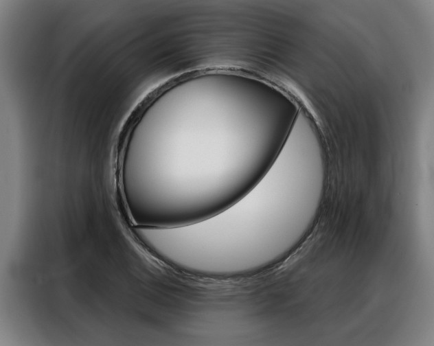 X0000088391124200705220755