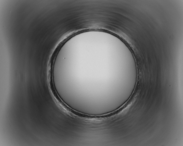 X0000088391126200705220755