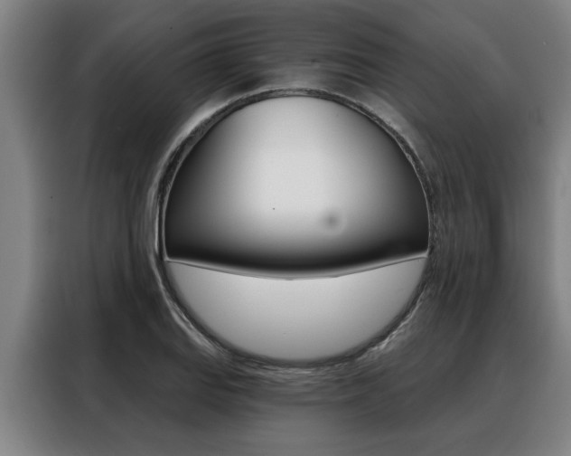 X0000088391127200705220755