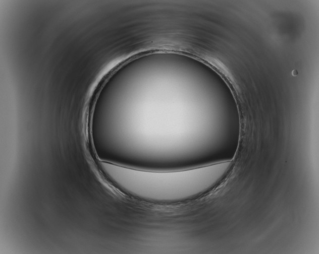 X0000088391128200705220755