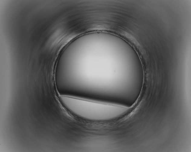 X0000088391129200705220755