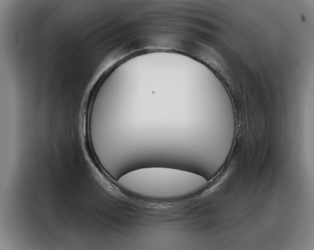 X0000088391130200705220755