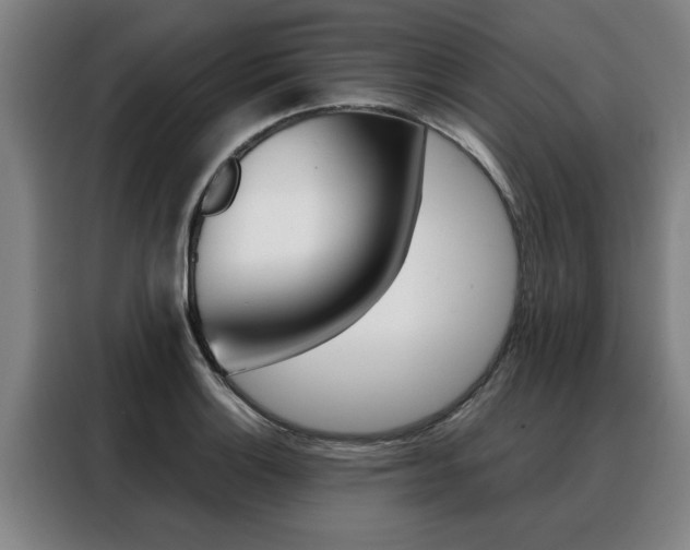 X0000088391132200705220756