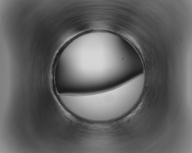 X0000088391133200705220756