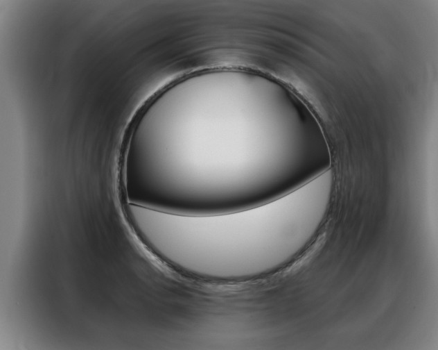 X0000088391134200705220756