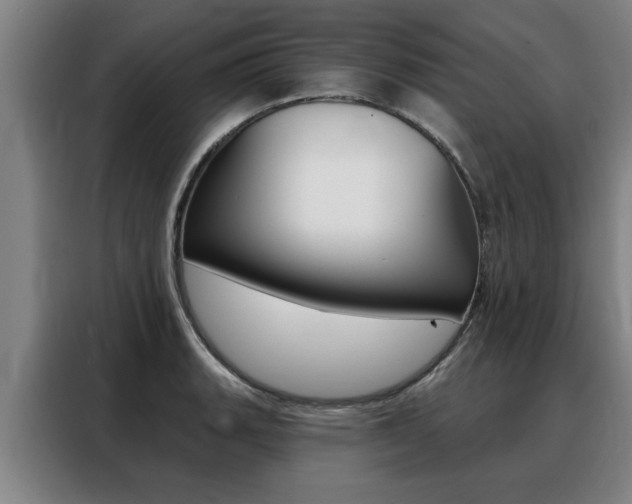 X0000088391135200705220756