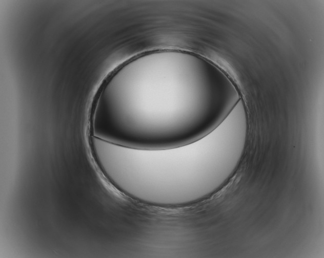 X0000088391136200705220756