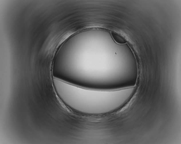 X0000088391137200705220756