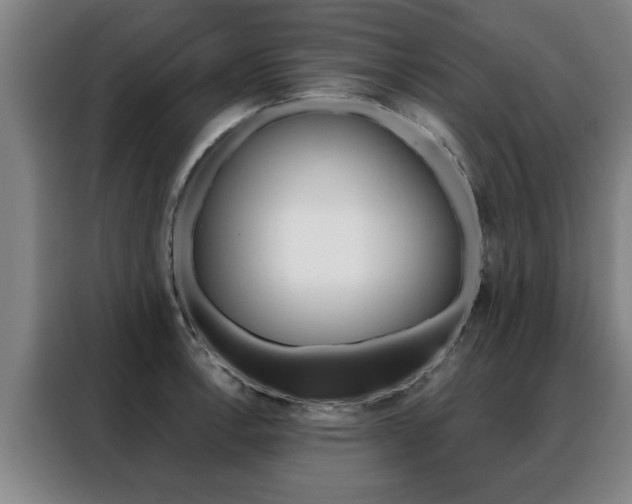 X0000088391138200705220756