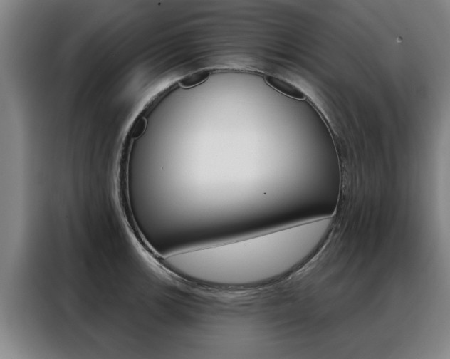 X0000088391139200705220756