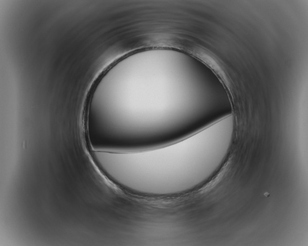 X0000088391141200705220756
