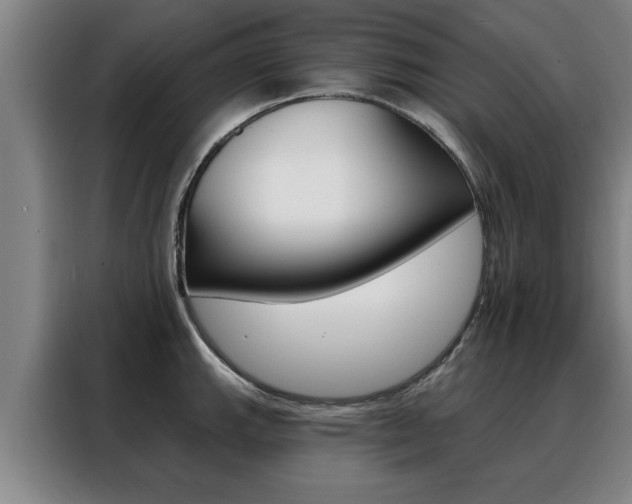 X0000088391143200705220756