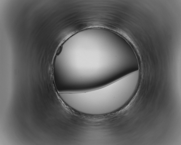 X0000088391145200705220756