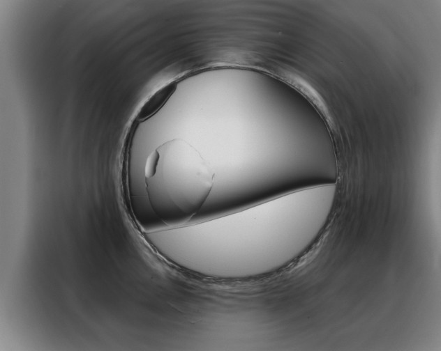 X0000088391146200705220756