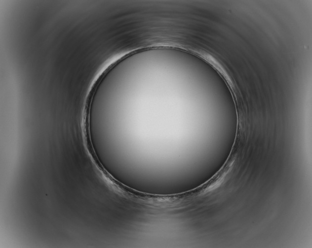 X0000088391149200705220756